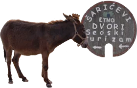 logo2