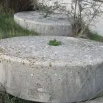 Masline